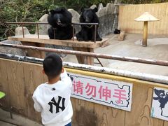 -石老人观光园
