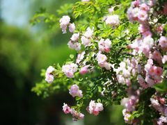 -老门东历史文化街区