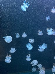 -Zoolung Zoolung动物主题公园(海信广场店)