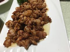 -丁老爷子苏香圆