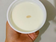 -清真马记宫廷奶酪(农光里店)