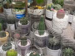 -循礼门鲜花花市(武汉循礼门店)