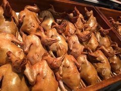 -燕郊烧鸽子(广安路店)