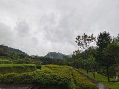 -唐崖土司城遗址