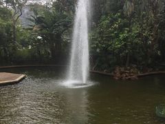 -九龙公园
