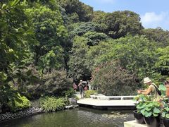 -云溪植物园