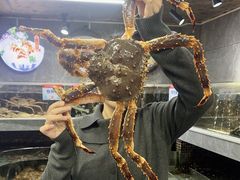 -阿拉斯加·海货(马王堆店)