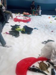 点击看大图 -超级奈尔宝SUPER NEOBIO(杭州星光店)