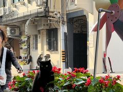 -Cafe del Volcan(永康路店)