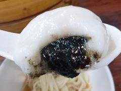 生汤圆-朱新年·苏式汤团·面点(北寺塔店)
