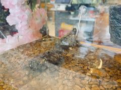-天一料理(荔枝广场店)