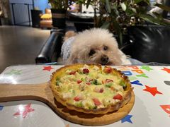 -百好乐宠物友好餐厅(朝外大街店)