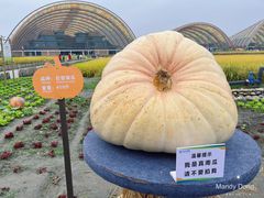 -中国天府农业博览园