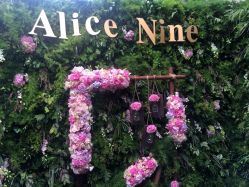 Alice Nine 婚纱礼服-Alice Nine婚礼艺术空间(总店)