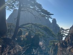 -黄山风景区