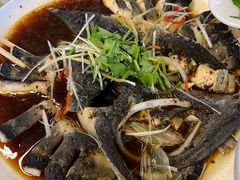 -京北渔家傲