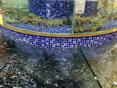 水产区-太子园林酒家
