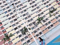 -彩虹村