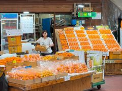 -西归浦每天偶来市场