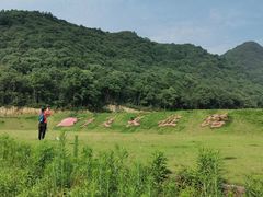 -黄贤森林公园