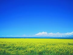 -青海湖国家重点风景名胜区