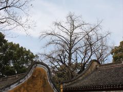 -阿育王寺