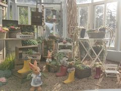 -深圳仙湖植物园