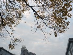 -东山湖公园