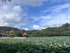 -南国桃园旅游度假区