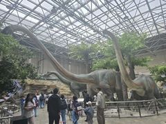 -国家自然博物馆