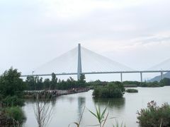 -芒洲湿地公园