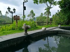 -龙山酒店温泉