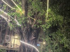 -隆都四季香饭店(碧海路店)