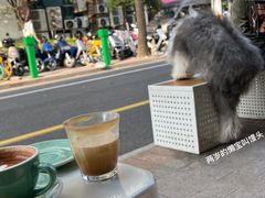 -Cafe del Volcan(永康路店)