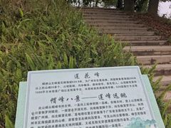 -广州市帽峰山景区