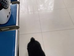 -申普宠物医院·眼科·心内科·影像科(普陀分院)