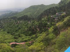 -大芦花风景区