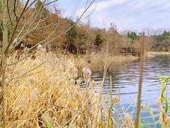 -仙海旅游度假区