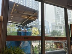 -东哥紫阳蒸盆子(旺座·现代城店)