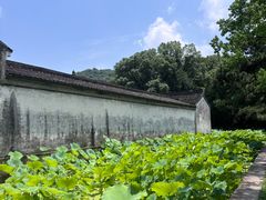 -兰亭风景区