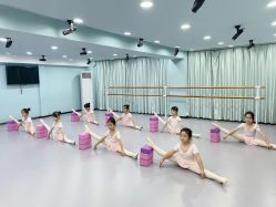 -昕艺尚皇家芭蕾舞蹈中心