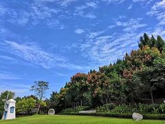 -光雾山旅游景区