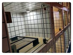 -熊小胖宠物生活馆(天华园店)