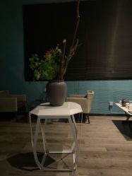 -THANN EXPRESS SPA