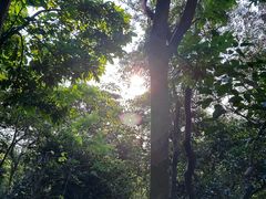 -小南山公园