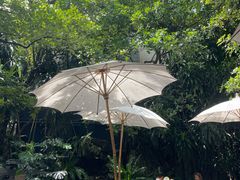 -Fern Forest Cafe