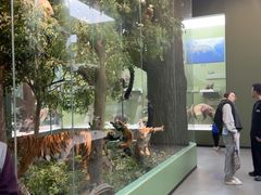 -国家自然博物馆