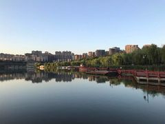 -羊山湖公园