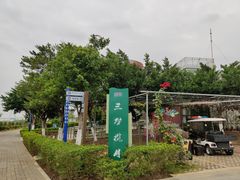 -芒洲湿地公园