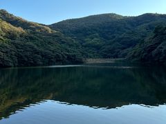 -黄埔油麻山森林公园